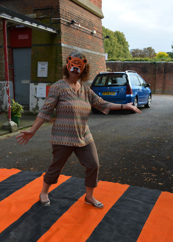 Campaign for Tiger Crossings by Ann Rapstoff, Philip Lee and Cally Trench